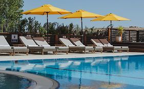 סלינה דזרט גרדן רמון